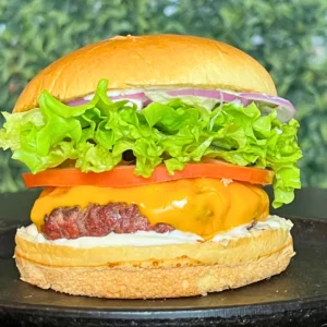 Hambúrguer Salada